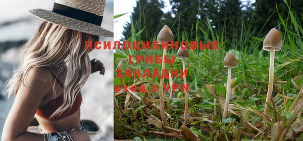 mix Надым