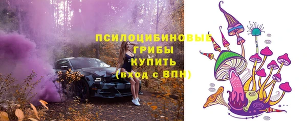 прущий лед Михайловск
